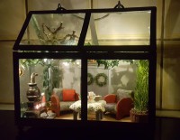 /album/alla-mina-rum/a47682241-10156299316628600-1489236543603212288-n-jpg1/