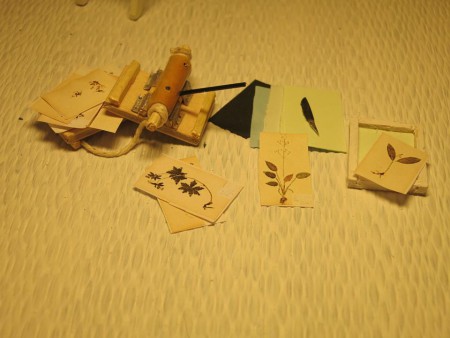 Herbarium av trärestbitar och små metallspännen. Blombladen är kopierade från internet.